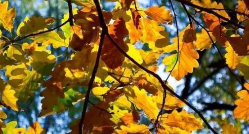 2025五一天气热还是冷？五一假期会下雨吗