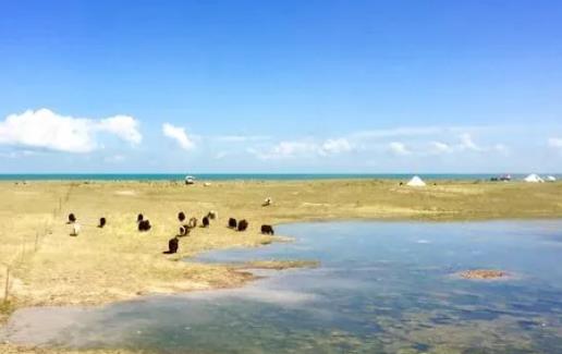 2025年5月气温多少度？夏季会提前吗