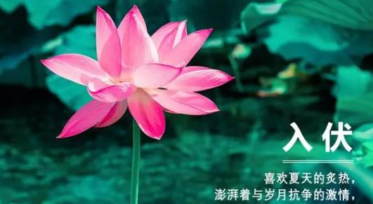 原问题？2025入伏后会更热吗