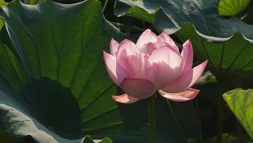 2025年夏天更热？全年高温成常态