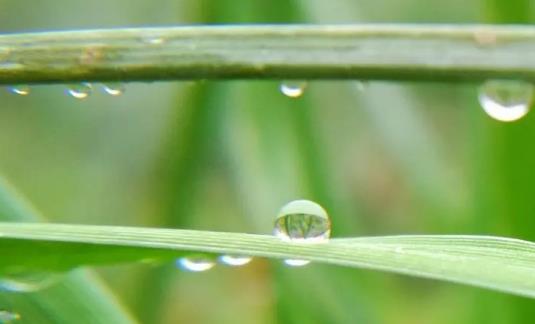 2025年北方是旱年还是涝年？厄尔尼诺影响多大