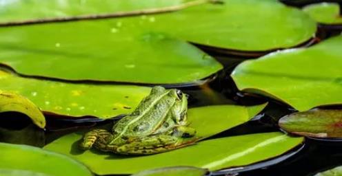 今年夏天会更热吗?高温天气如何应对?