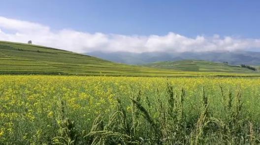 2025广东夏天何时开始？入夏时间与高温趋势