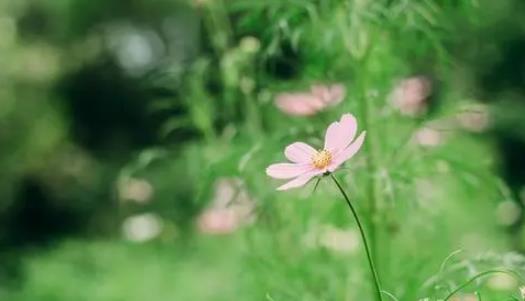 2025年北京五月会很热吗?高温天气是否提前