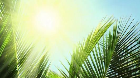 2025年北京五月会很热吗?高温天气是否提前