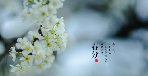 2025年春分是几月几号几点几分?春分养生吃什么