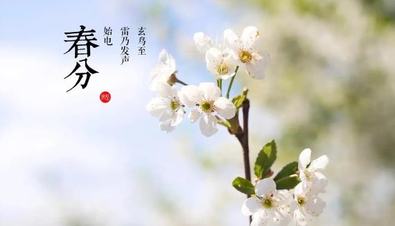 2025年春分是几月几号几点几分?春分养生吃什么