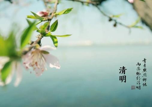 清明节为何是4月4日?2025年哪天扫墓