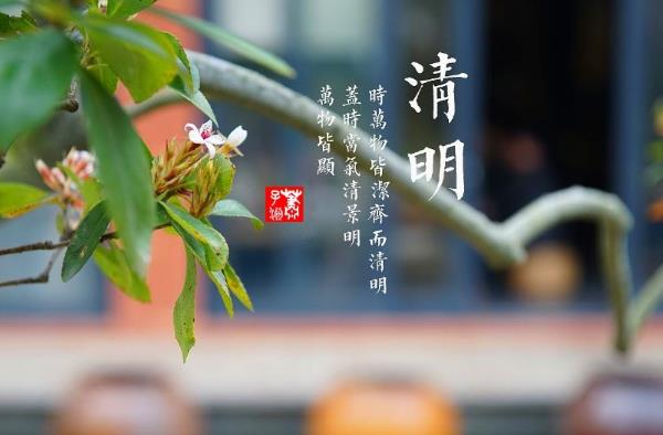 清明节为何是4月4日?2025年哪天扫墓