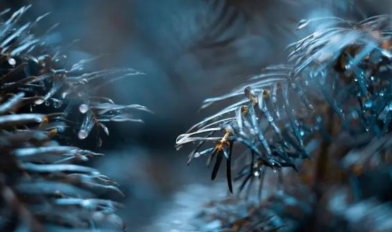 2025年深圳4月下雨多吗?雨季出行如何应对