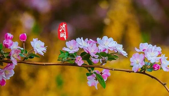 2025清明节是农历二月初三吗?今年清明为何是4月4日