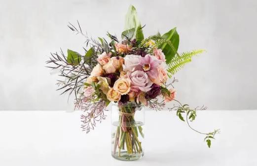 三八妇女节送康乃馨合适吗？康乃馨花语是什么