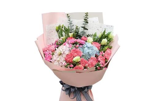 三八妇女节送康乃馨合适吗?康乃馨花语是什么