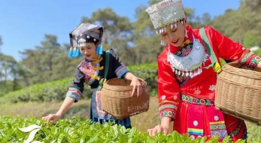 2025广西三月三放假几天？假期旅游攻略怎么做？