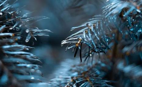 2025年武汉三月是雨季吗？雨季出行如何准备