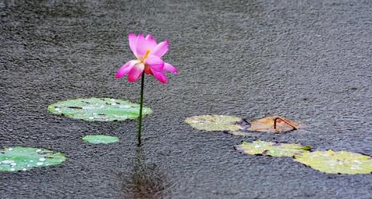 2025年武汉三月是雨季吗?雨季出行如何准备