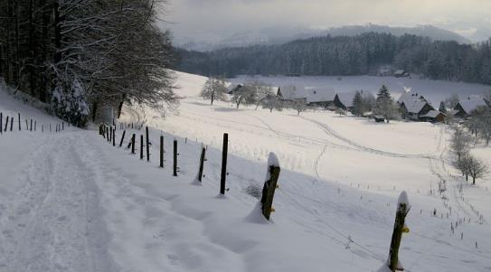 2025南京三月会下雪吗？倒春寒可能性多大