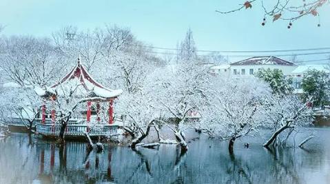 2025南京春节后气温会升高吗？何时迎升温