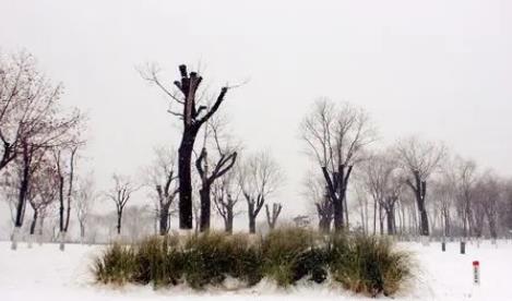 南京二三月份还会冷吗2025？2025年倒春寒可能性大吗