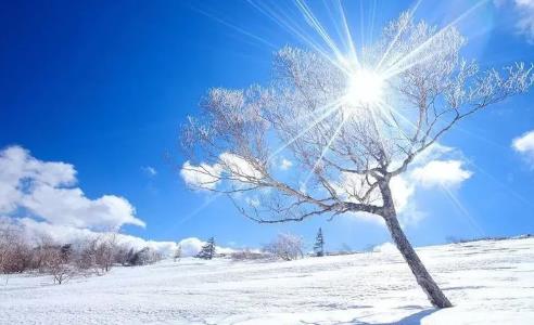 2025年南京三月气温多少度？会倒春寒吗