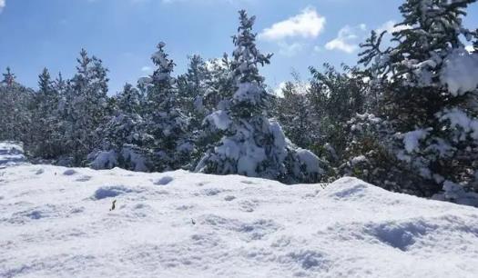 内蒙古3月份会下雪吗2025？春季降雪概率多大