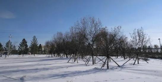 内蒙古3月停暖了吗？供暖延长政策是什么