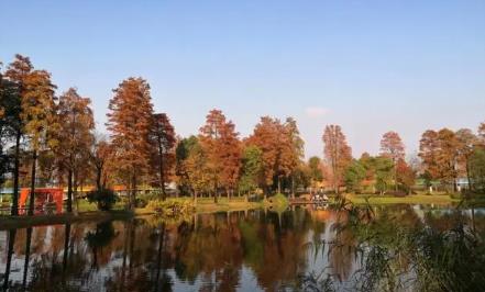 武汉今年过年冷吗2025？春节天气预测如何