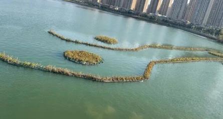 武汉今年过年冷吗2025?春节天气预测如何