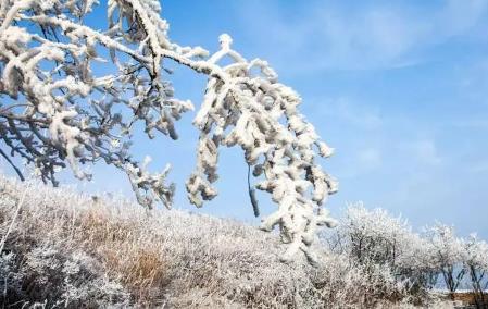 武汉2025春节后下雪吗?气候异常会成常态吗