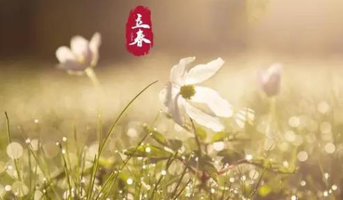 立春后多久升温?何时最低温达10度