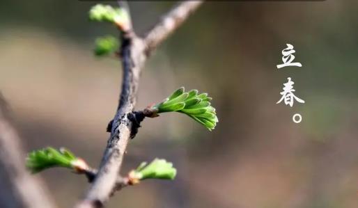 立春后多久升温?何时最低温达10度