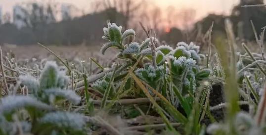 2025年六九天气还冷吗？倒春寒概率大吗