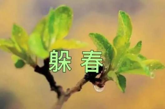 2025年立春谁要躲春？躲春习俗如何影响运势？