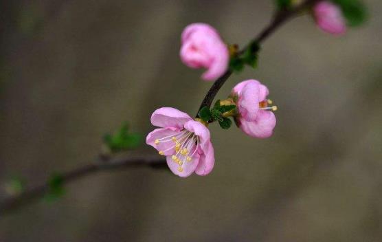 2025年立春谁要躲春?躲春习俗如何影响运势?