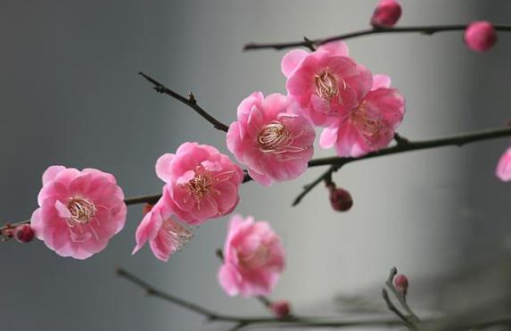 2025躲春几点到几点结束?躲春习俗有哪些禁忌