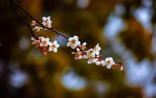 2025躲春几点到几点结束?躲春习俗有哪些禁忌