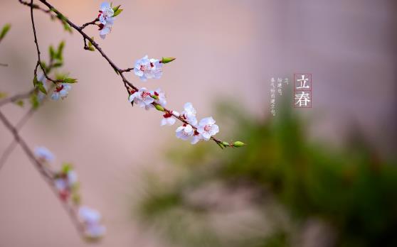 2025年躲春怎么躲?立春禁忌与旺运技巧