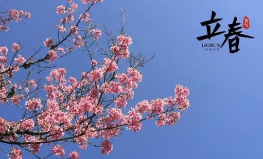 2025年躲春不能穿红衣服？穿什么颜色最吉利