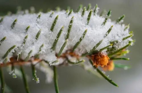 2025年3月有倒春寒吗？天气回暖后还会冷吗