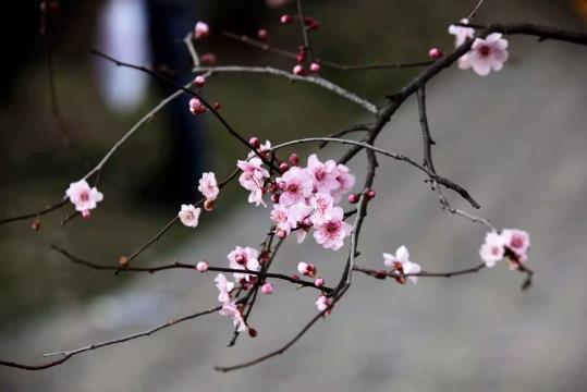 2025年打春是白天还是晚上？今年立春几点几分