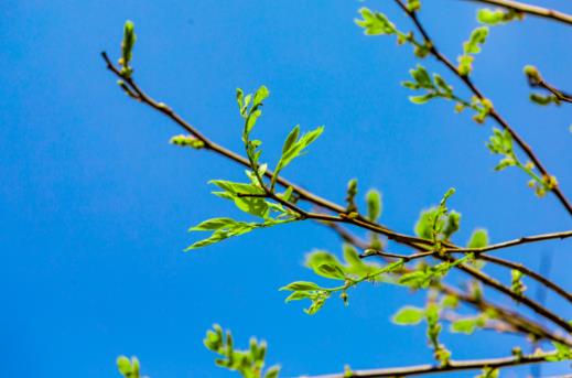 2025年打春是几九？今年立春后还冷吗