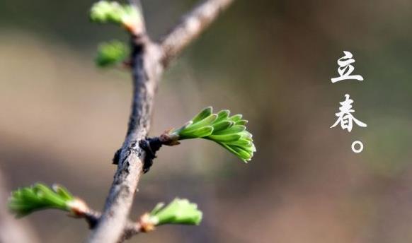 2025年打春躲春哪四个属相？如何正确躲春避太岁？