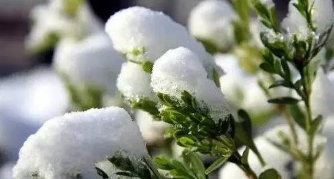 2025年四月冷不冷？倒春寒会持续多久