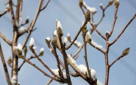 2025年四月冷不冷?倒春寒会持续多久