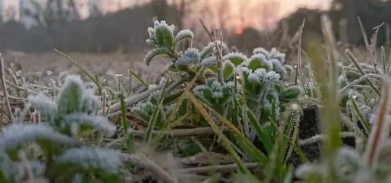 2025年四月冷不冷?倒春寒会持续多久