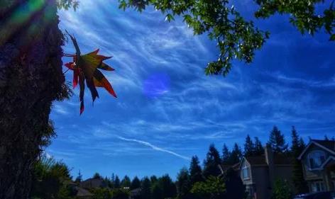 2025年3月气温回暖了吗?倒春寒会来吗