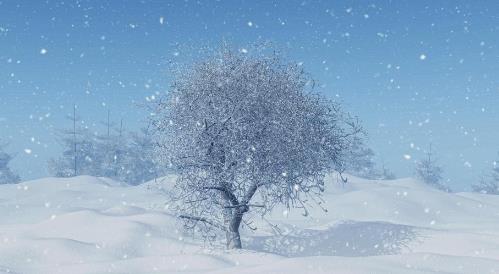 2025年3月还会下雪吗?倒春寒概率多大