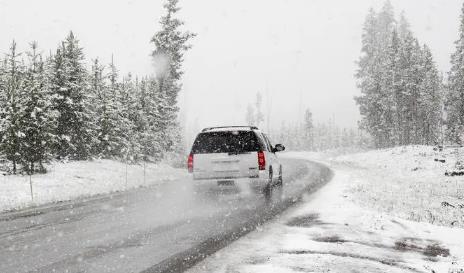 2025年3月还会下雪吗?倒春寒概率多大