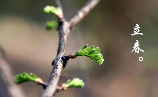 2025年何时回暖?倒春寒还会发生吗