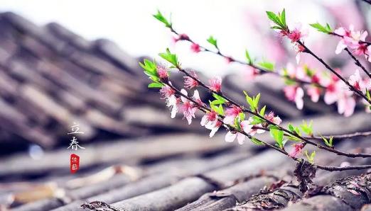 2025年何时回暖?倒春寒还会发生吗